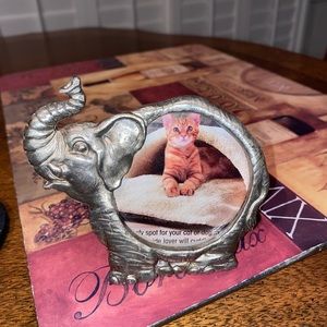 - Metal Elephant 🐘 frame 🖼